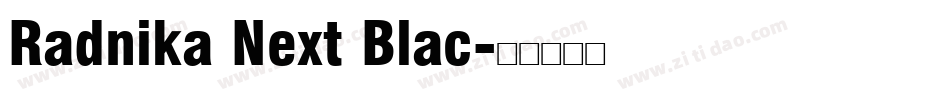 Radnika Next Blac字体转换